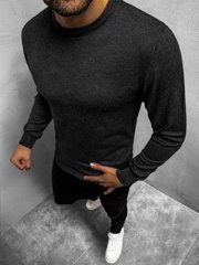 Sweat-shirt Chemise Manches Longues Col Rond Pull Classic Unicolore Basic Messieurs OZONEE